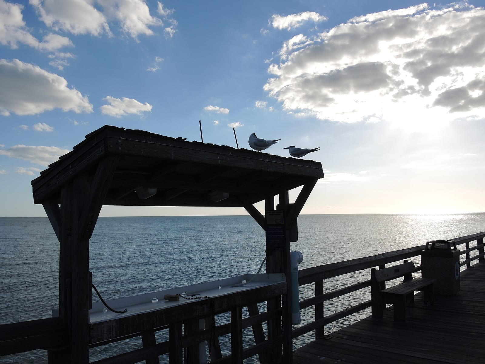 16th Avenue South Beach: wooden pier with pergola structure overlooking calm ocean water