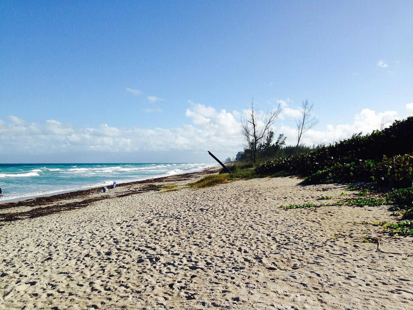 Blind Creek Beach South: sandy beach with driftwood, vegetation, and turquoise ocean waves