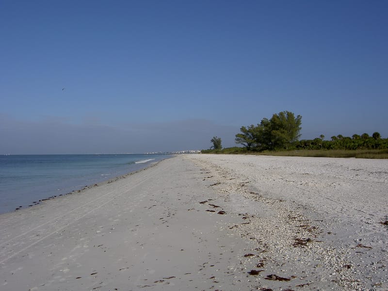 Bluebill Beach: sandy beach with calm turquoise water and vegetation along shoreline