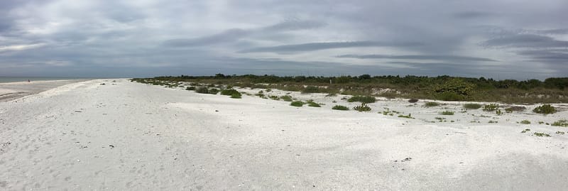 Bowman's Beach Park: wide sandy beach with dunes, vegetation, and overcast sky