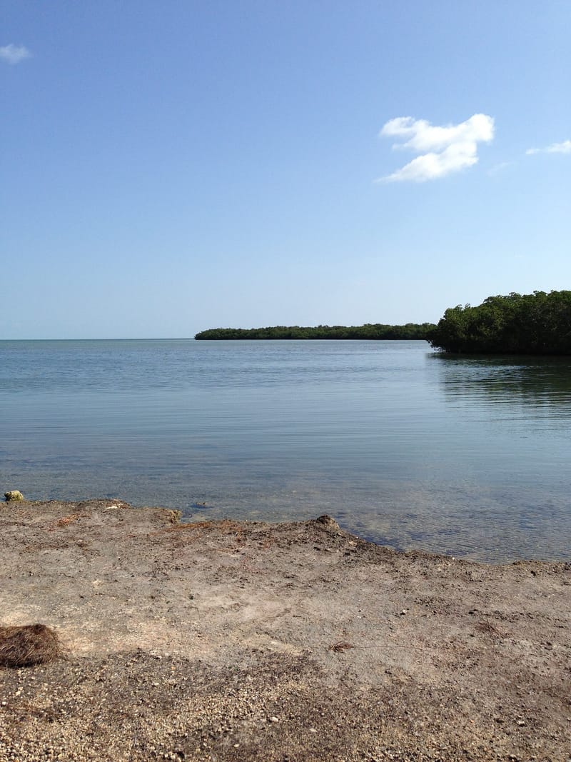 Campground Beach: sandy beach with calm shallow water and mangrove shoreline