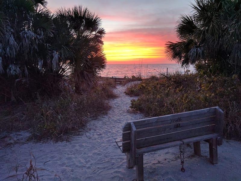 Caspersen Beach: wooden bench on sand facing ocean at sunset with palm trees