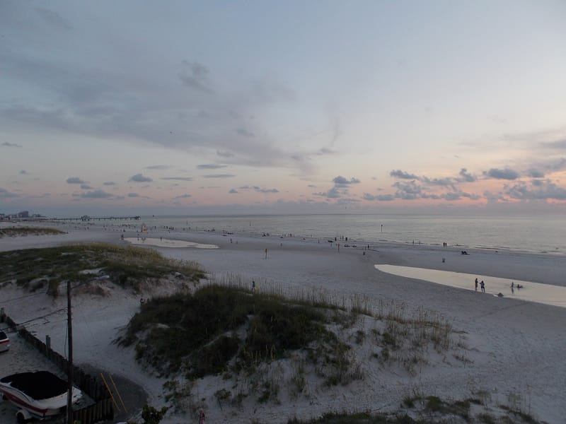 Clearwater Beach: beach at dusk with dunes, shallow water, and distant swimmers