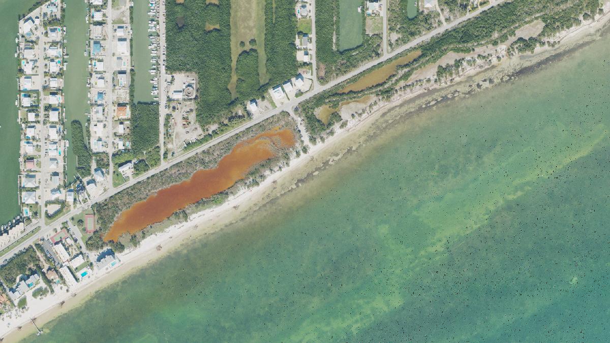 Aerial view of Coca Plum Beach in Marathon, Florida, shoreline and surroundings, USDA NAIP imagery from May 2023