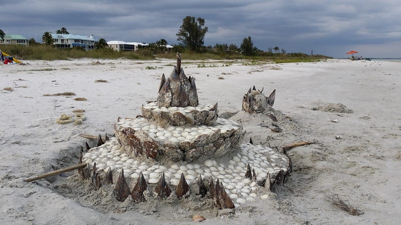 Dixie Beach: artistic sand sculpture with shells and driftwood on beach