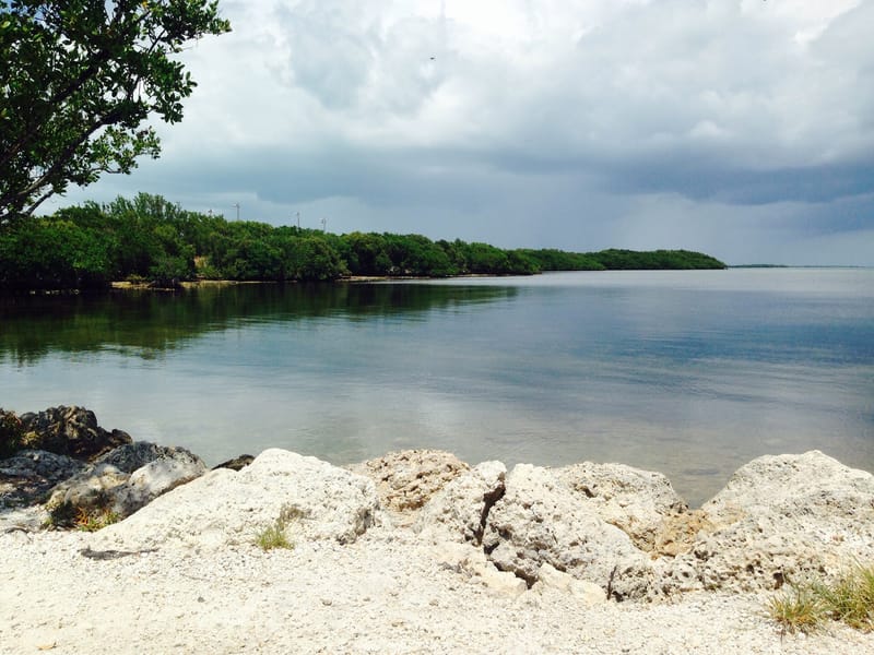 Far Beach: rocky beach foreground with calm water and mangrove coastline