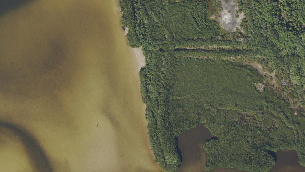Aerial view of Gardenville Beach in Tampa, Florida, shoreline and surroundings, USDA NAIP imagery from May 2023