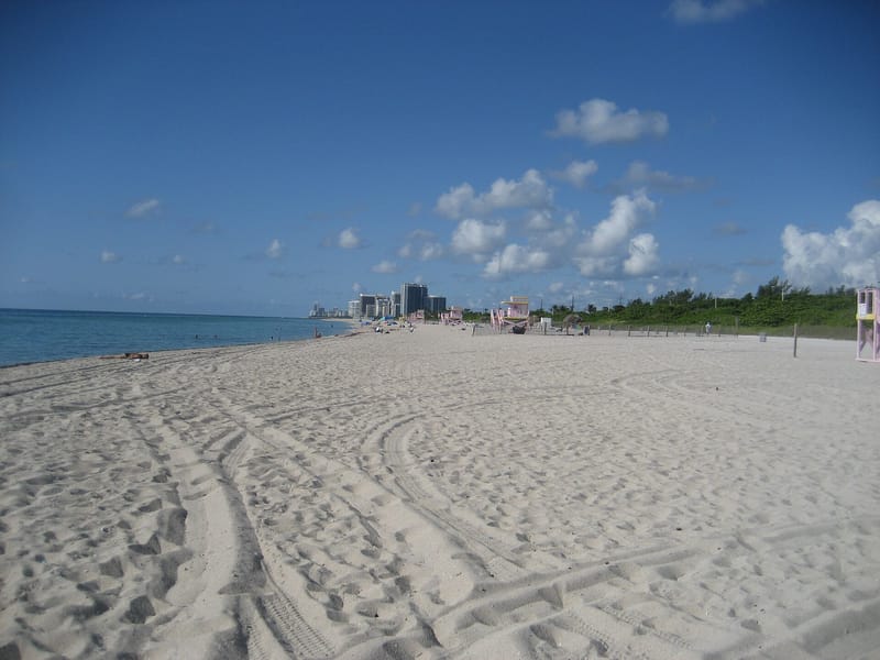 Haulover Beach: sandy beach with cityscape skyline and ocean under blue sky
