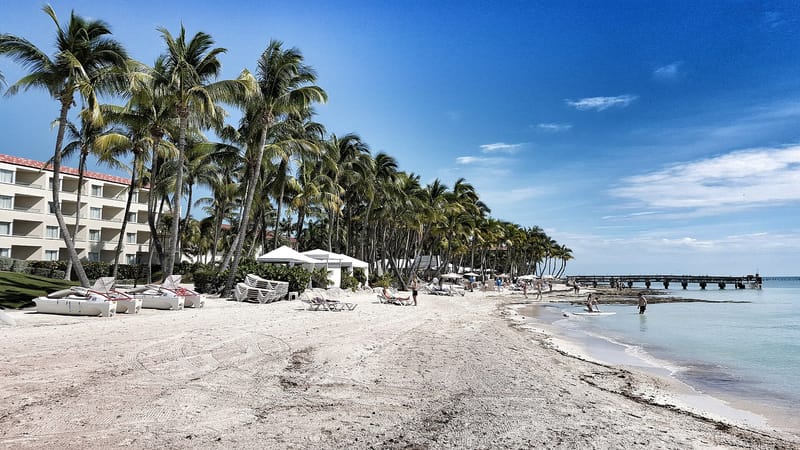 Higgs Beach: sandy beach with palm trees, resort building, pier, and swimmers