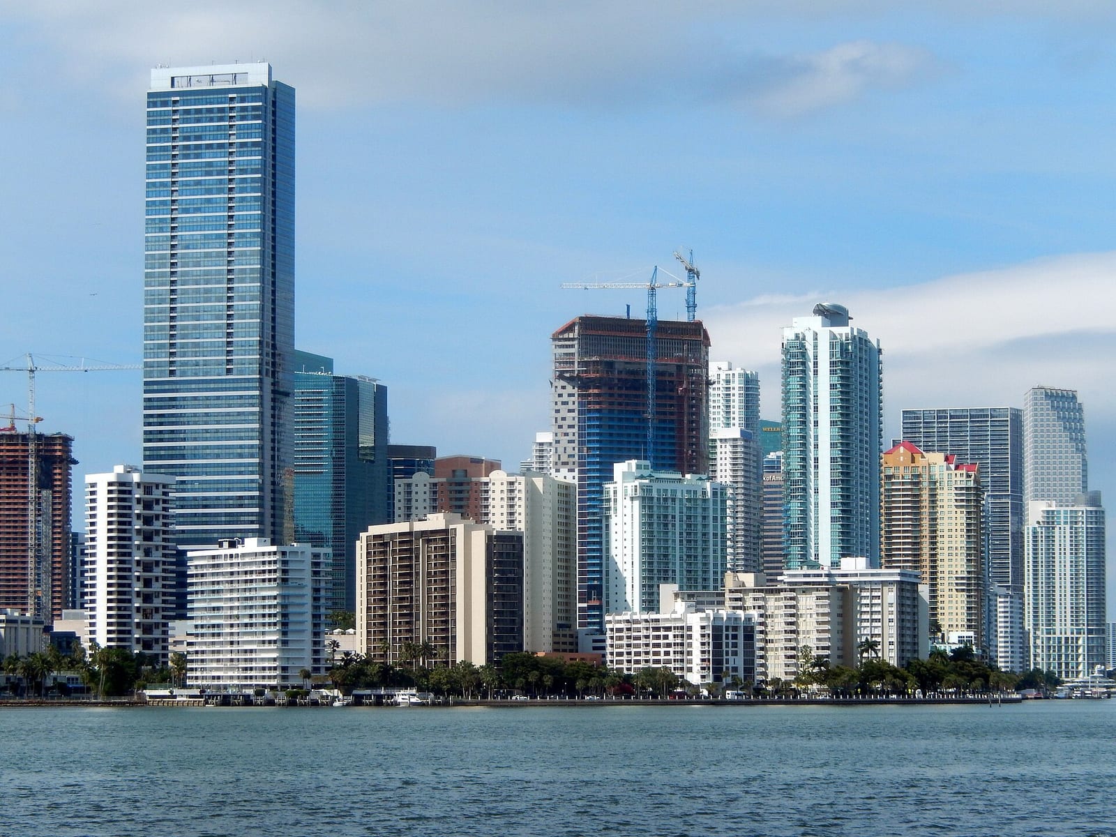 Hobie Island Beach: urban skyline with high-rise buildings along waterfront
