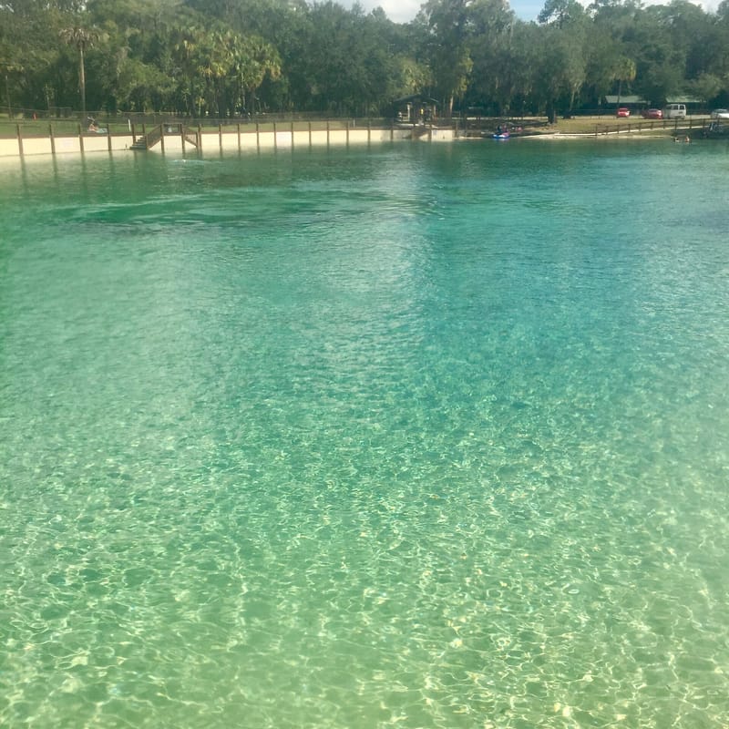 Lithia Springs: clear turquoise water with pier, dock, and forested shoreline