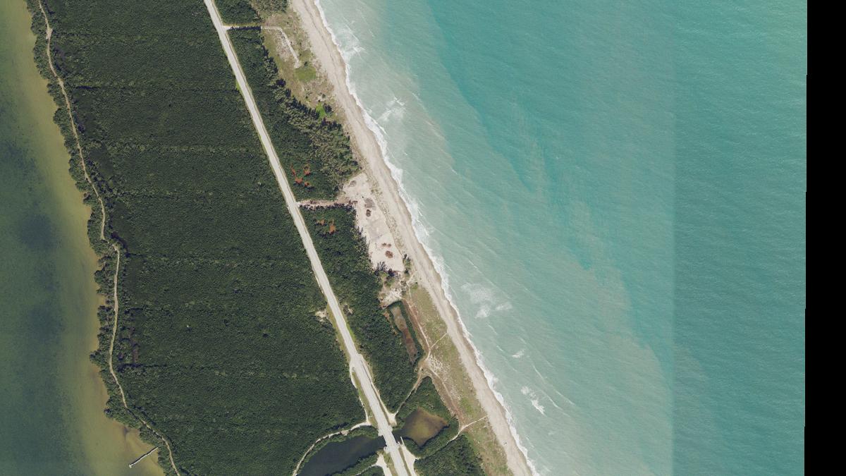 Aerial view of Little Mud Creek Beach in Florida, shoreline and surroundings, USDA NAIP imagery from May 2023