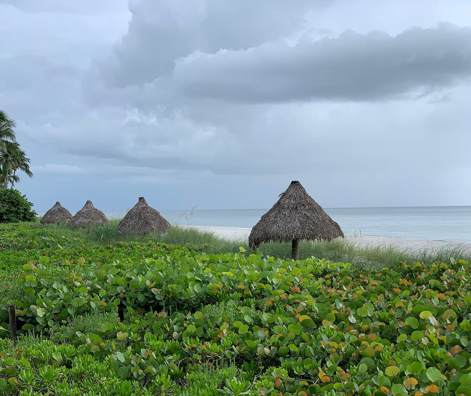 Lowdermilk Beach: thatched huts on beach with vegetation and cloudy sky