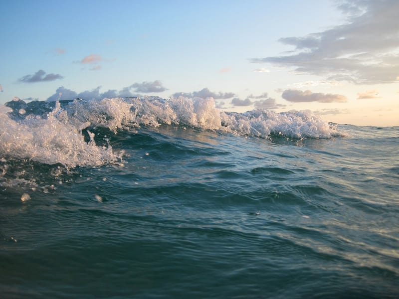 Navarre Beach: surfer riding wave at sunset with ocean water and sky