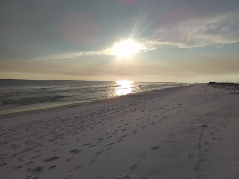 Park West On-Leash Dog Beach: sandy beach at sunset with footprints and calm ocean waves