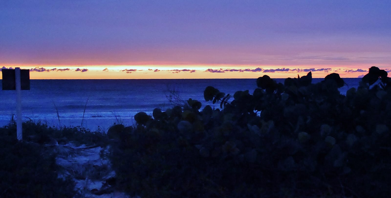 Pasa A Grille Beach: sunset over water with silhouetted vegetation and pier pilings