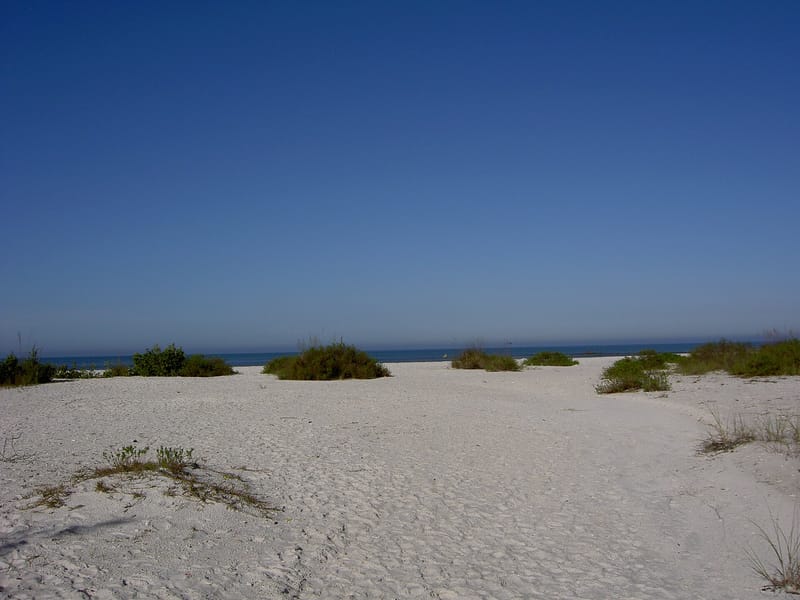 Pelican Bay Commons Beach: sandy beach with dune vegetation, ocean and clear blue sky