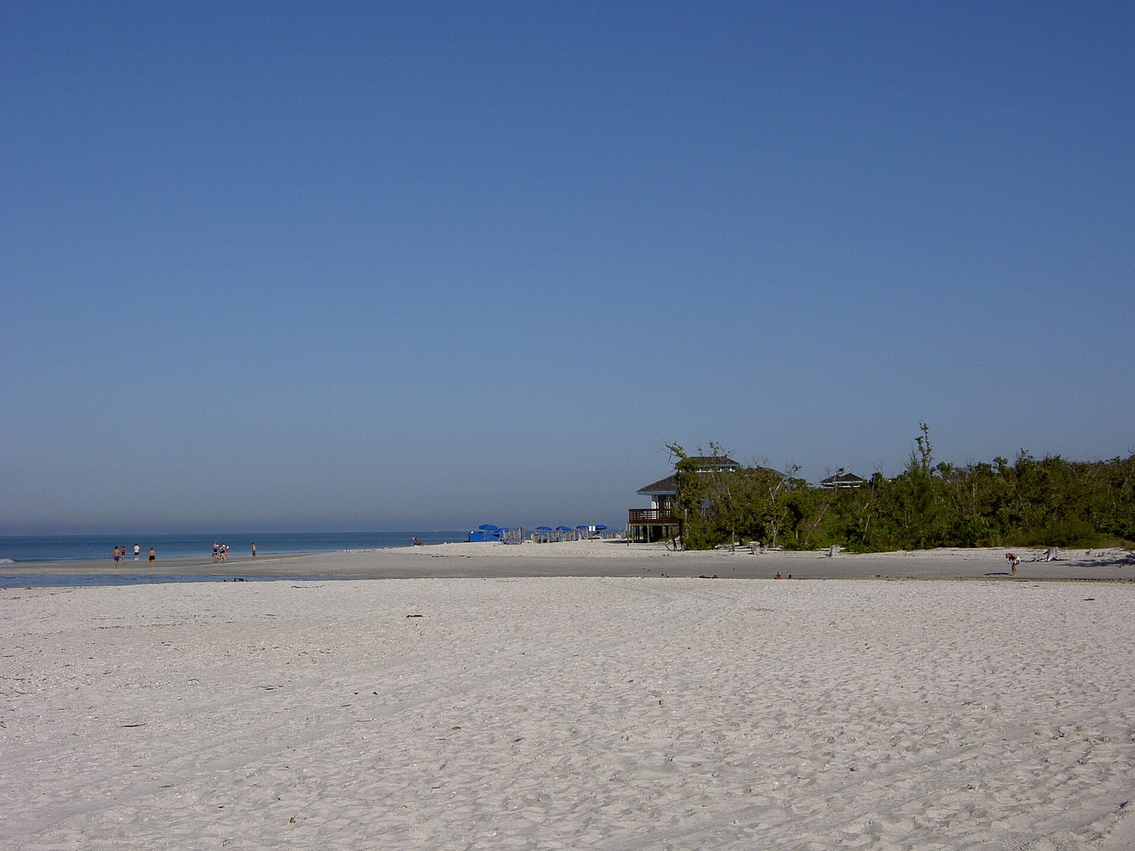 Pelican Bay South Beach: wide sandy beach with shallow water, mangroves, and structures in distance