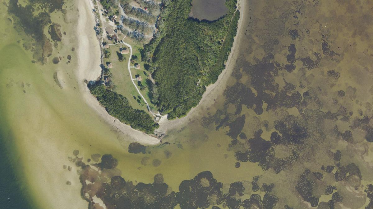 Aerial view of Picnic Island Beach in Florida, shoreline and surroundings, USDA NAIP imagery from May 2023