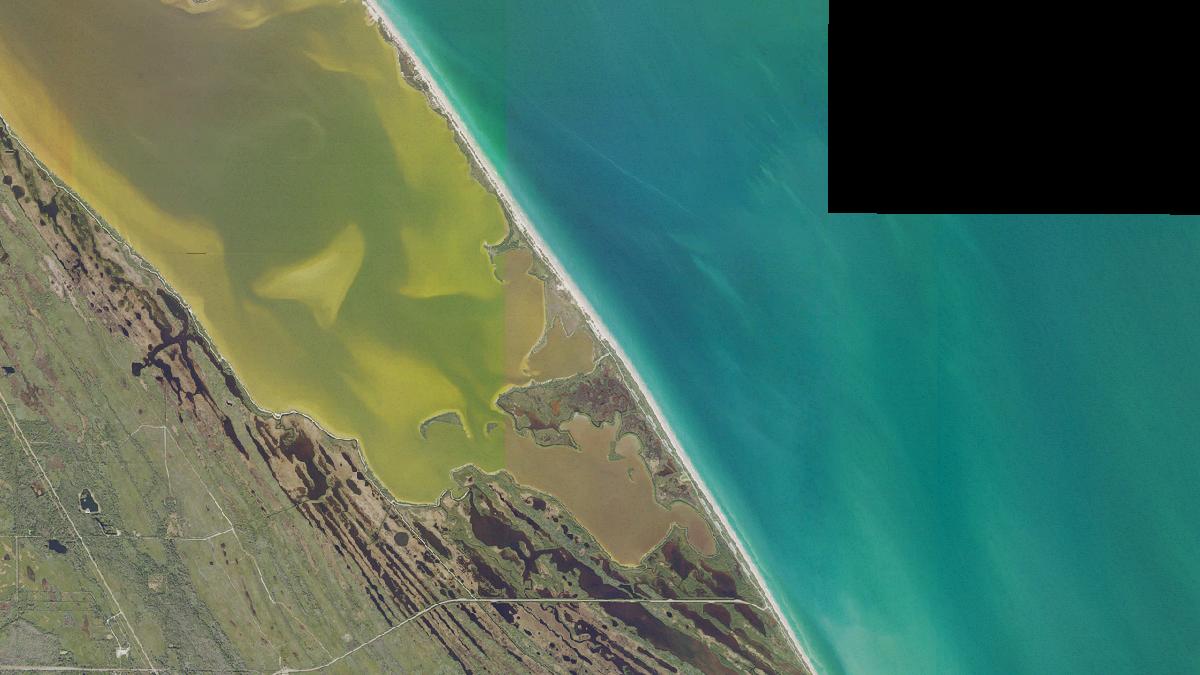 Aerial view of Playalinda Beach in Florida, shoreline and surroundings, USDA NAIP imagery from May 2023