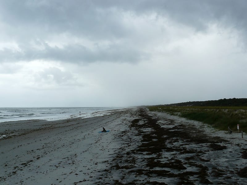 Seminole Beach: beach with wet sand, dunes, seaweed, overcast sky, distant swimmer