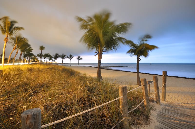 Smathers Beach: sandy beach with palm trees, dune fence, and calm ocean water