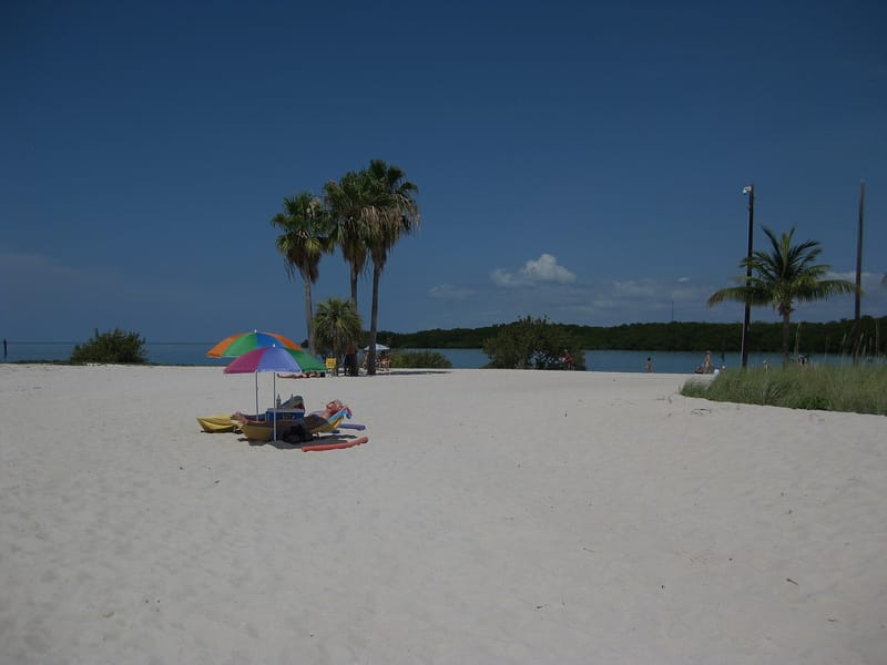 Sombrero Beach: sandy beach with umbrella, palm trees, calm water, clear sky